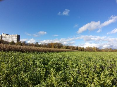 Birkacher Feld von Popp Kreckel